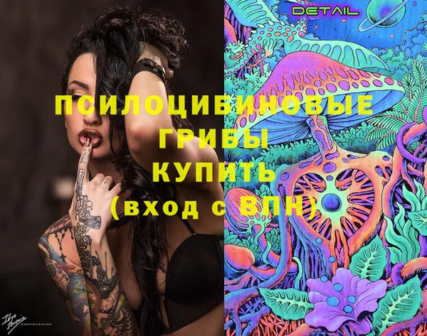 apvp Михайлов